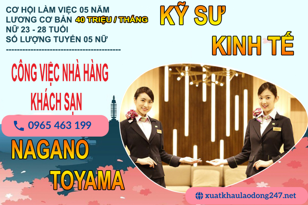 Kỹ Sư Kinh Tế Công Việc Khách Sạn